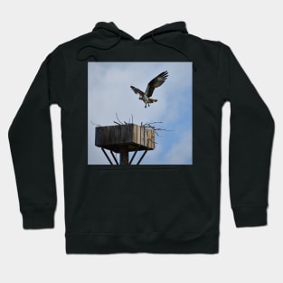 Incoming Osprey Hoodie